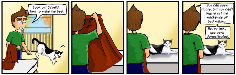 Making the Bed